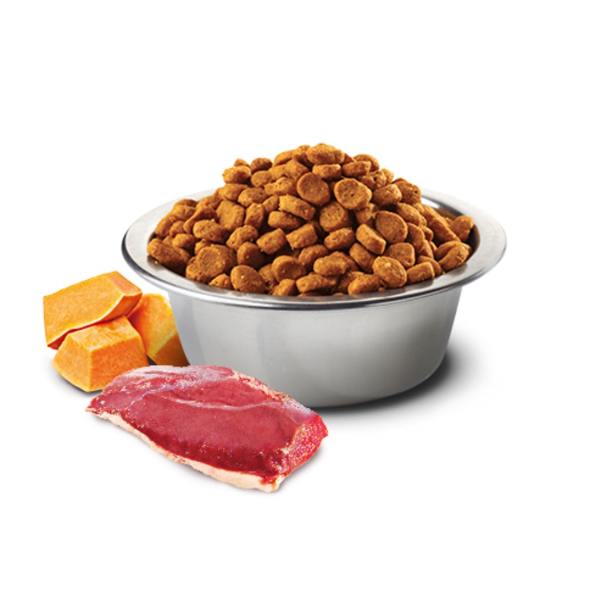 5Kg Seal - Hạt N&D Pumpkin Cho Mèo trưởng thành công thức thịt vịt, bí đỏ, dưa lưới