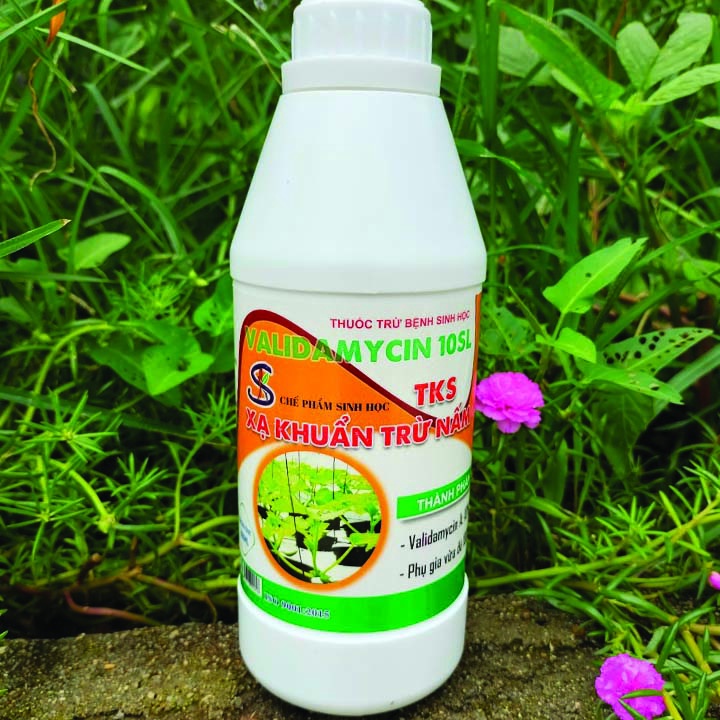 Chế Phẩm Trừ Bệnh Sinh Học Cho Cây Trồng VALIDAMYCIN 10 SL  - Chai 1 Lít