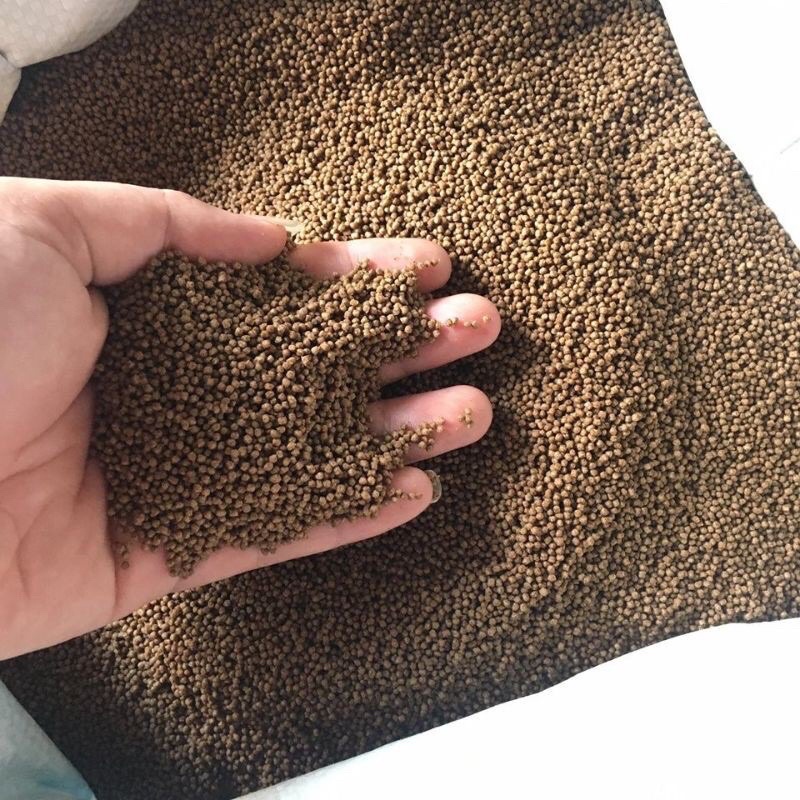Cám cá chép, cá koi 1kg