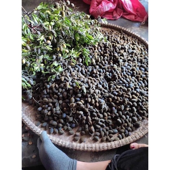 Say Rừng Lắc Muối Ớt (400gr)