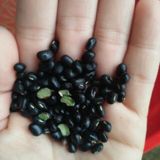 Đậu đen xanh lòng quê hạt nhỏ 1kg