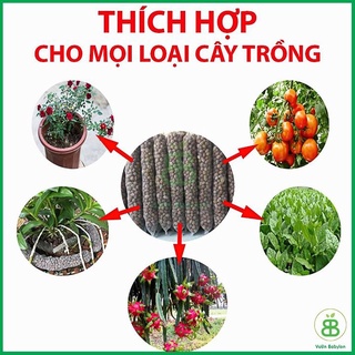 1 túi lưới phân dê tan chậm bón lan, hoa hồng, cây bonsai.
