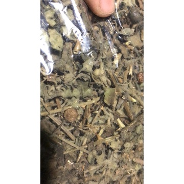 Cà gai leo khô 1kg