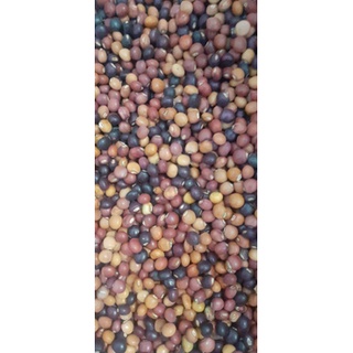 500 gram đậu săng