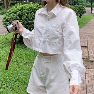 Sơ mi croptop trắng dài tay