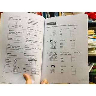 Essential Vocabulary in Context