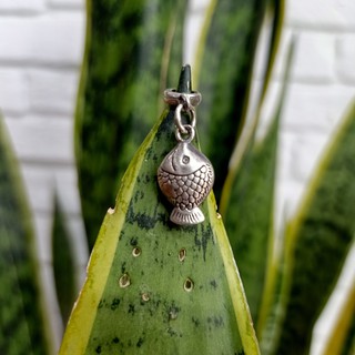 CHARM CÁ S990