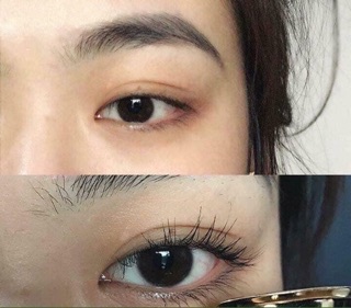BẤM MI SHISEIDO EYELASH CURLER 213