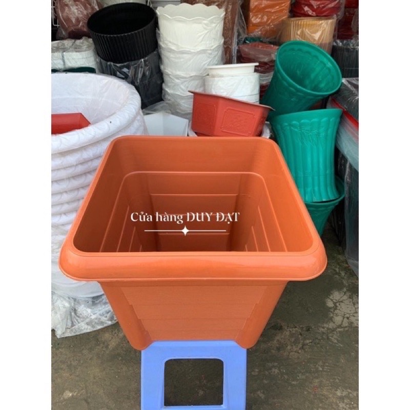 Chậu VUÔNG ĐẠI TRỒNG HỒNG, CÂY KIỂNG và CÂY ĂN TRÁI ĐK 47x47 - CAO 40cm