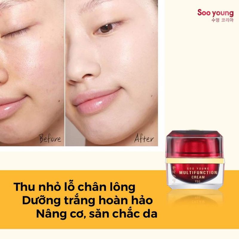 Kem Face Hàn Soo Young hũ 15gr (Multifunction Cream)