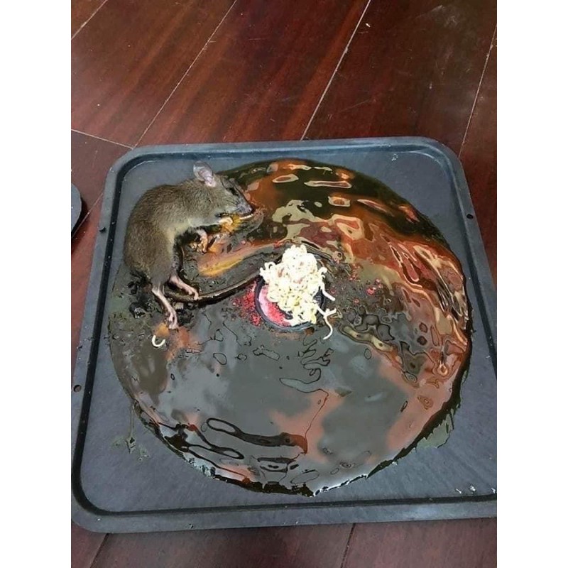 KEO DÍNH CHUỘT THÁI