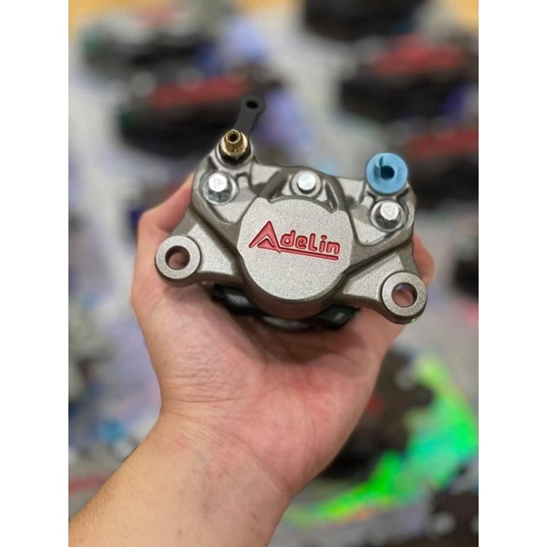 Heo Adelin 2 pis chính hãng