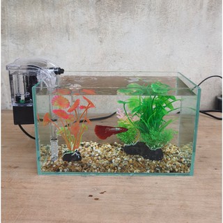 Bể cá mini 24 cm với 5 món (bể 24, sỏi nền, máy lọc, cây nhựa vừa, cây nhựa mini)