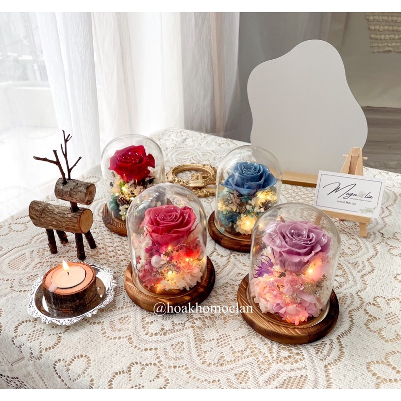 Chụp thuỷ tinh đế gỗ hoa hồng bất tử, quà tặng giáng sinh, phụ kiện chụp ảnh sản phẩm, decor trang trí bàn trang điểm