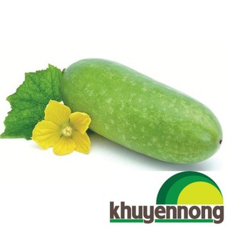 Hạt giống bí đao xanh ( Gói 10 hạt)