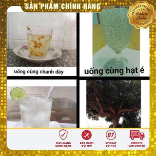 Mủ trôm Phan Rang