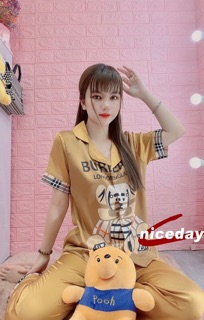 BỘ LỤA THIẾT KẾ 3D GẤU