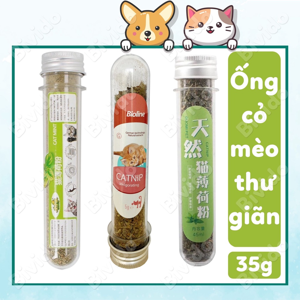 Ống cỏ mèo khô Catnip Bioline hương bạc hà giúp thư giãn, giảm stress - Bivido