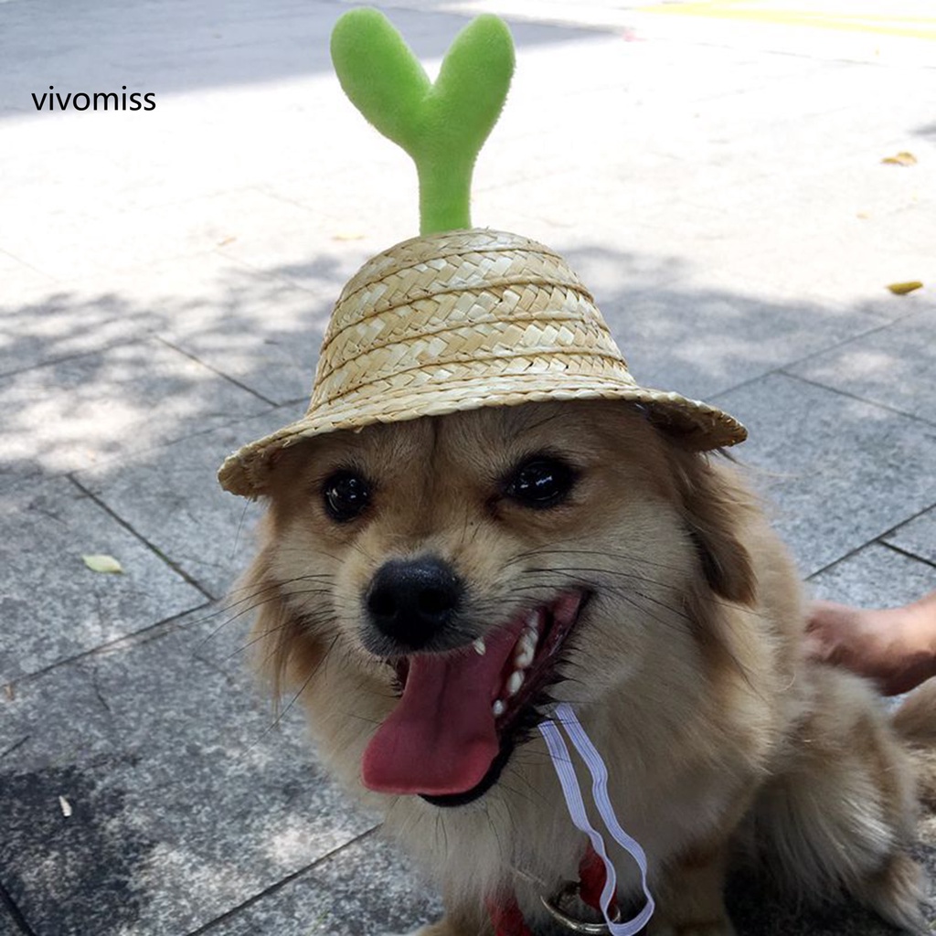 Nón Rơm Đan Kèm Dây Đeo Có Thể Điều Chỉnh Dành Cho Cún Cưng