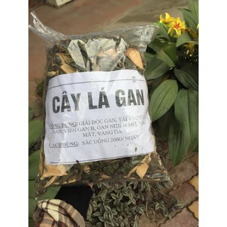 Dược liệu Tây Bắc: Cây Lá Gan-1kg