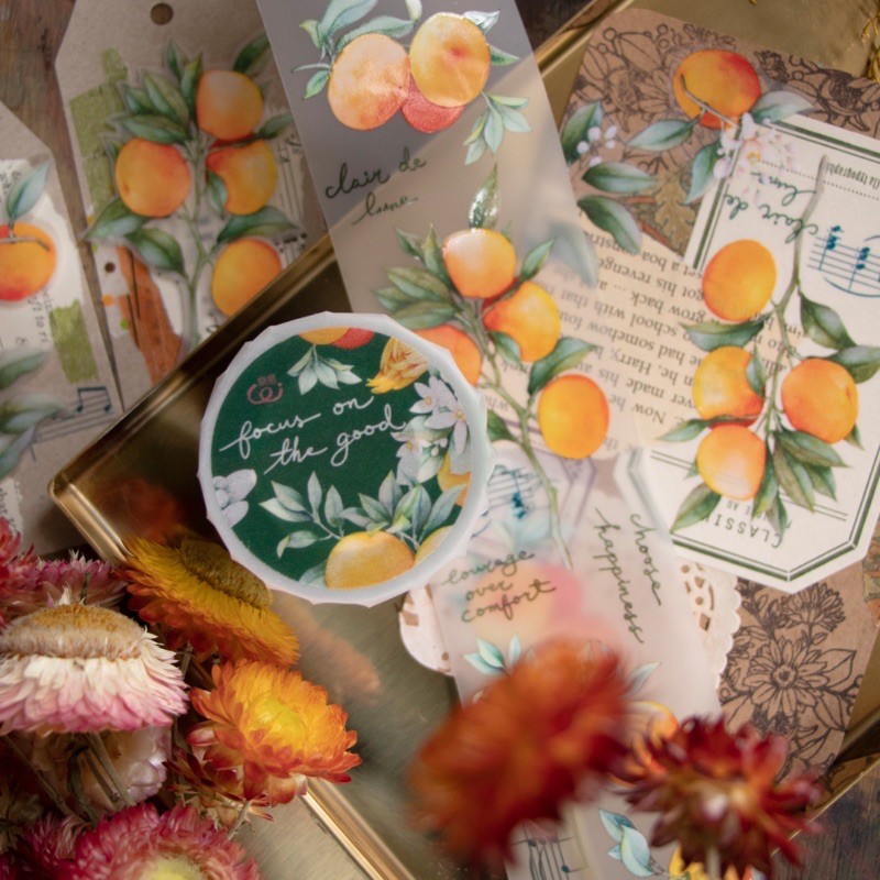 Sticker quả cam thiết kế loidesign cắt sẵn từng hình