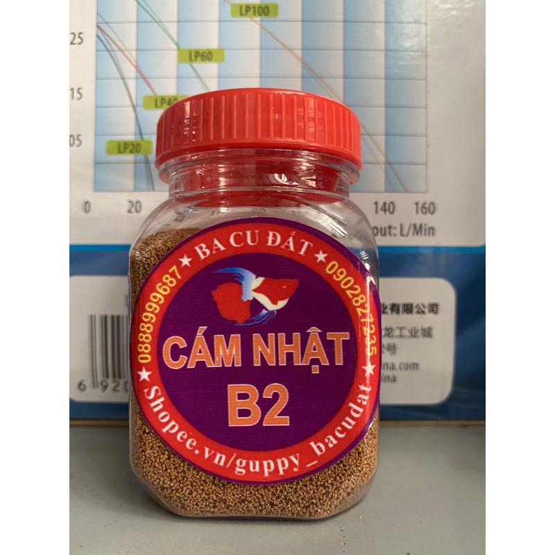 Cám Nhật B2