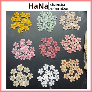 .Hoa mai nhí gắn móng trang trí móng
