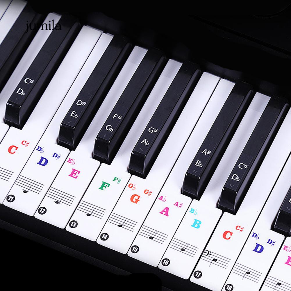 Miếng dán nhựa PVC trong suốt hình phím đàn piano điện tử jula 37 / 49 / 54 / 61 / 88