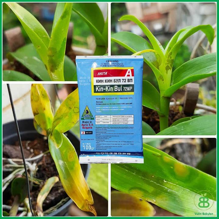 CHẾ PHẨM TRỪ NẤM CÂY TRỒNG KIN KIN BUL 72WP  - SIÊU SALE