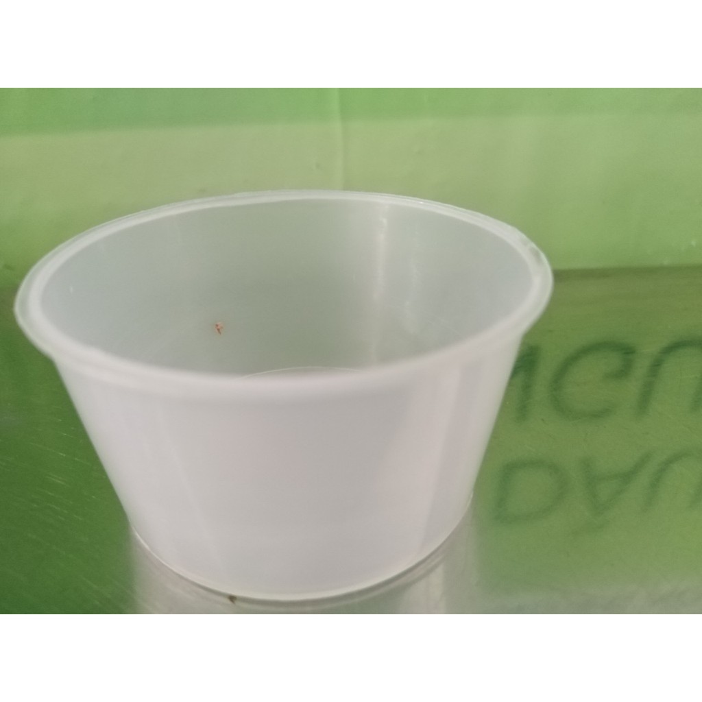 Hủ nhựa làm bánh flan caramen, rau câu, sữa chua (hộp flan có nắp)_HL