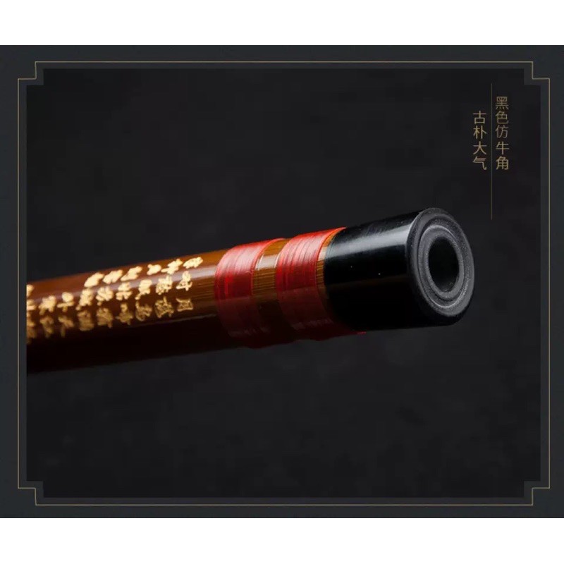 Sáo dizi Dong Xuehua 8881 dizi biểu diễn chuyên nghiệp