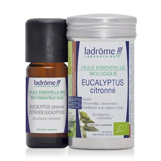 Tinh Dầu Organic Eucalyptus Citronné