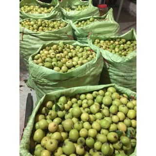 Sỉ như lẻ táo mèo tươi 1kg