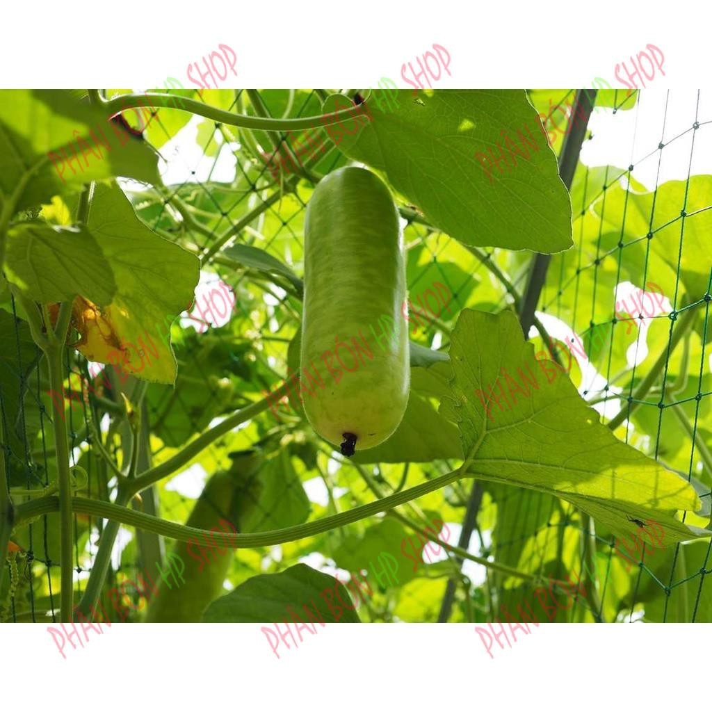 NPK 20-15-15(5KG) CHO DƯA LEO, BẦU, BÍ...(2 THÁNG)