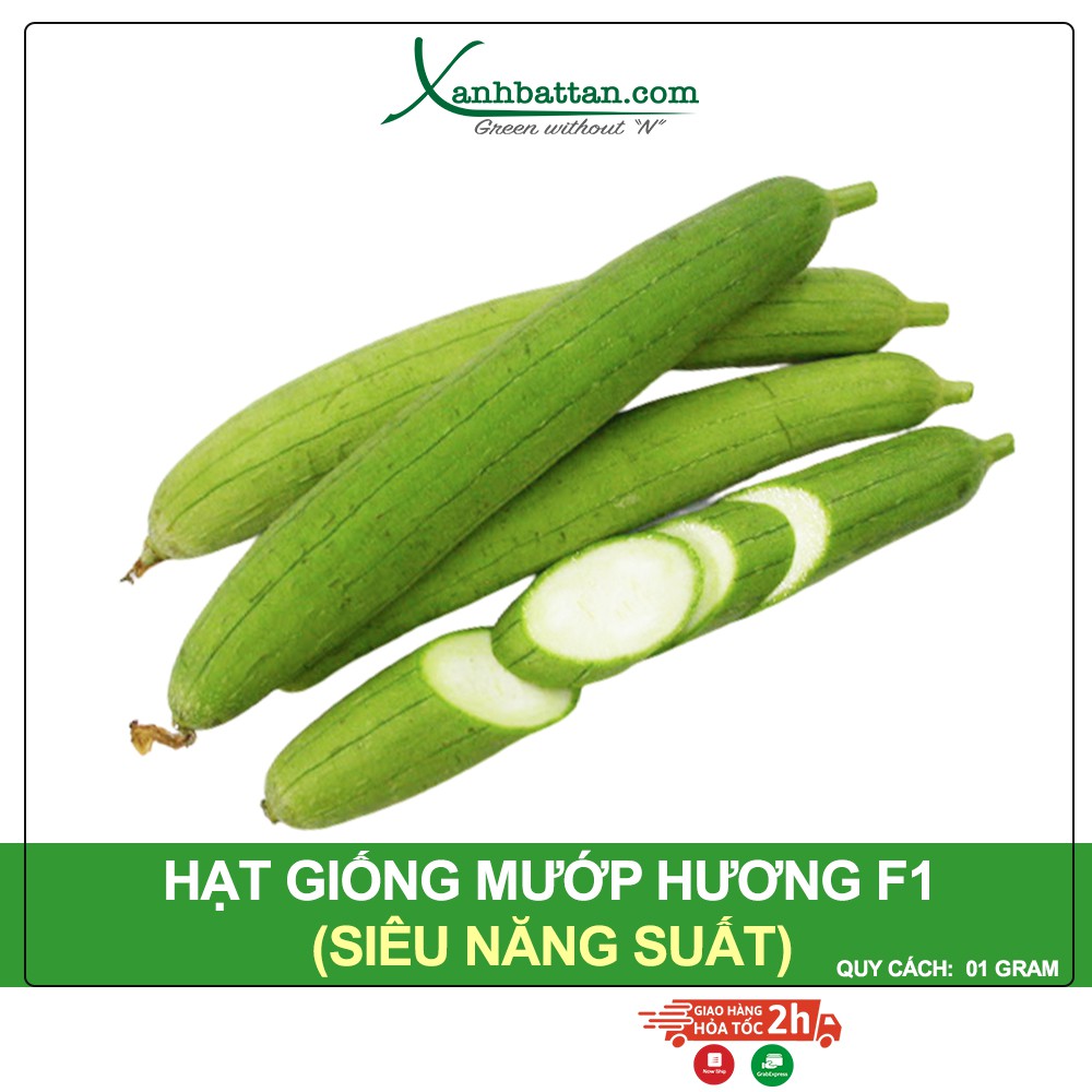 Hạt Giống Mướp Hương F1 Phú Nông Gói 1 Gram