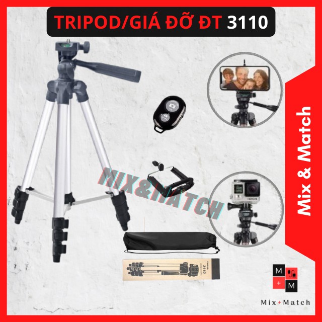 Gậy chụp hình 3 chân/Giá đỡ điện thoại 3 chân Tripod TF3110