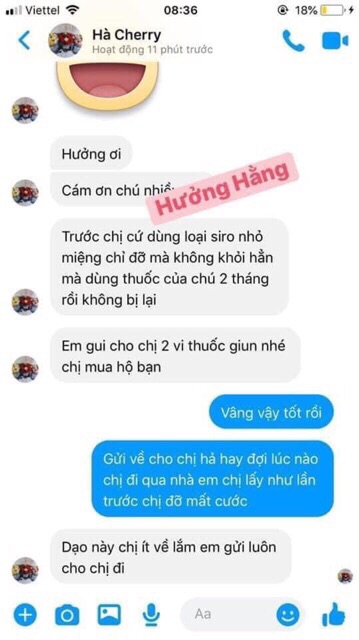 Thuốc nhỏ mắt trị đau mắt, chảy nước mắt cho chó mèo