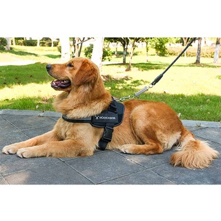 Yếm Dắt Phản Quang Cho Chó - Dây Dắt 021
