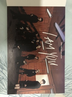 Postcard Stray Kids unit