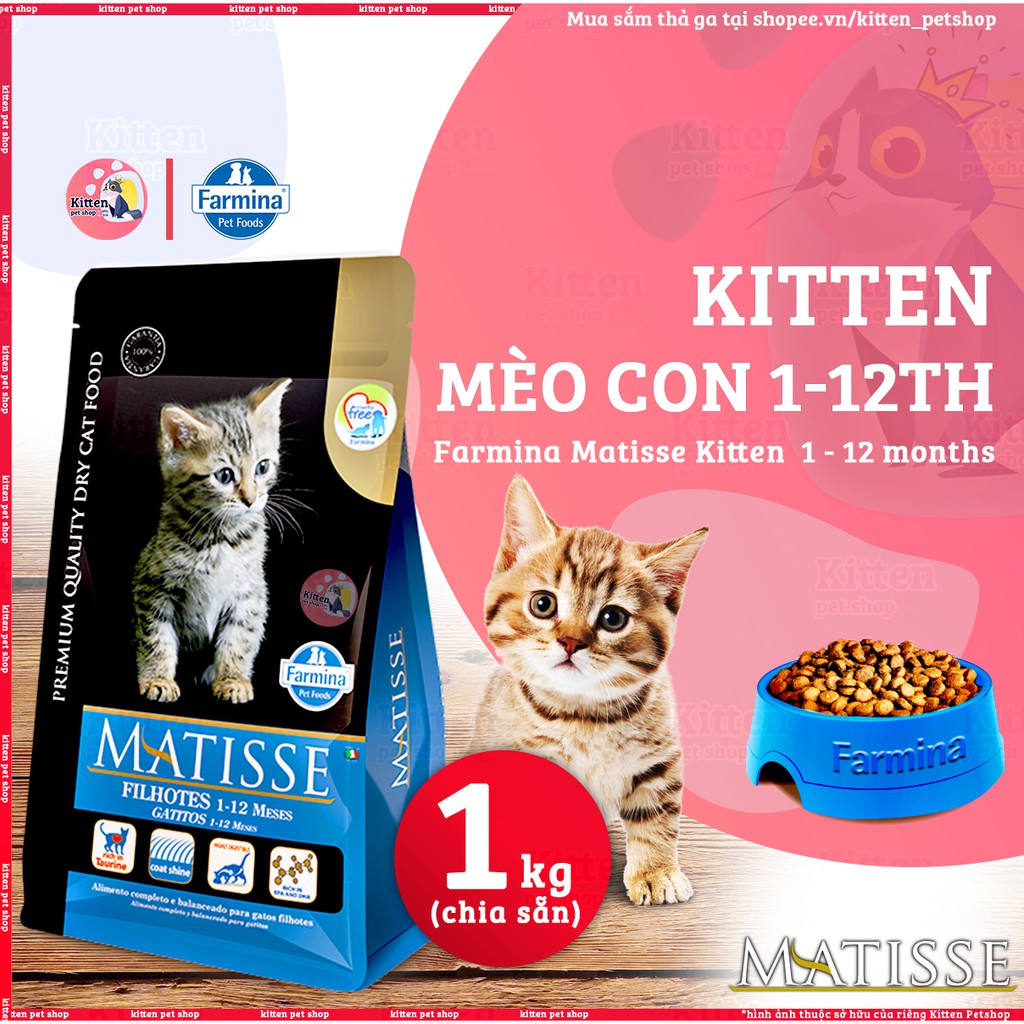 1.5kg - Hạt Kitten Matisse cho Mèo con 1 - 12 tháng tuổi - Farmina Matisse Kitten 1 - 12 months ( Kitten Pet Shop )