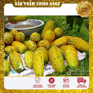 HẠT GIỐNG DƯA BỞ THƠM QUẢ DÀI