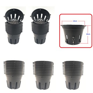 Set 50 chậu nhựa trồng lan số 2 đường kính 14cm cao 10cm