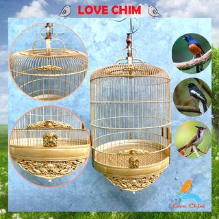 Lồng chim Chích Chòe đục rồng đẹp, chim Chòe Than, chim Chòe Lửa, chim Chào Mào, lồng chim đẹp LOVECHIM
