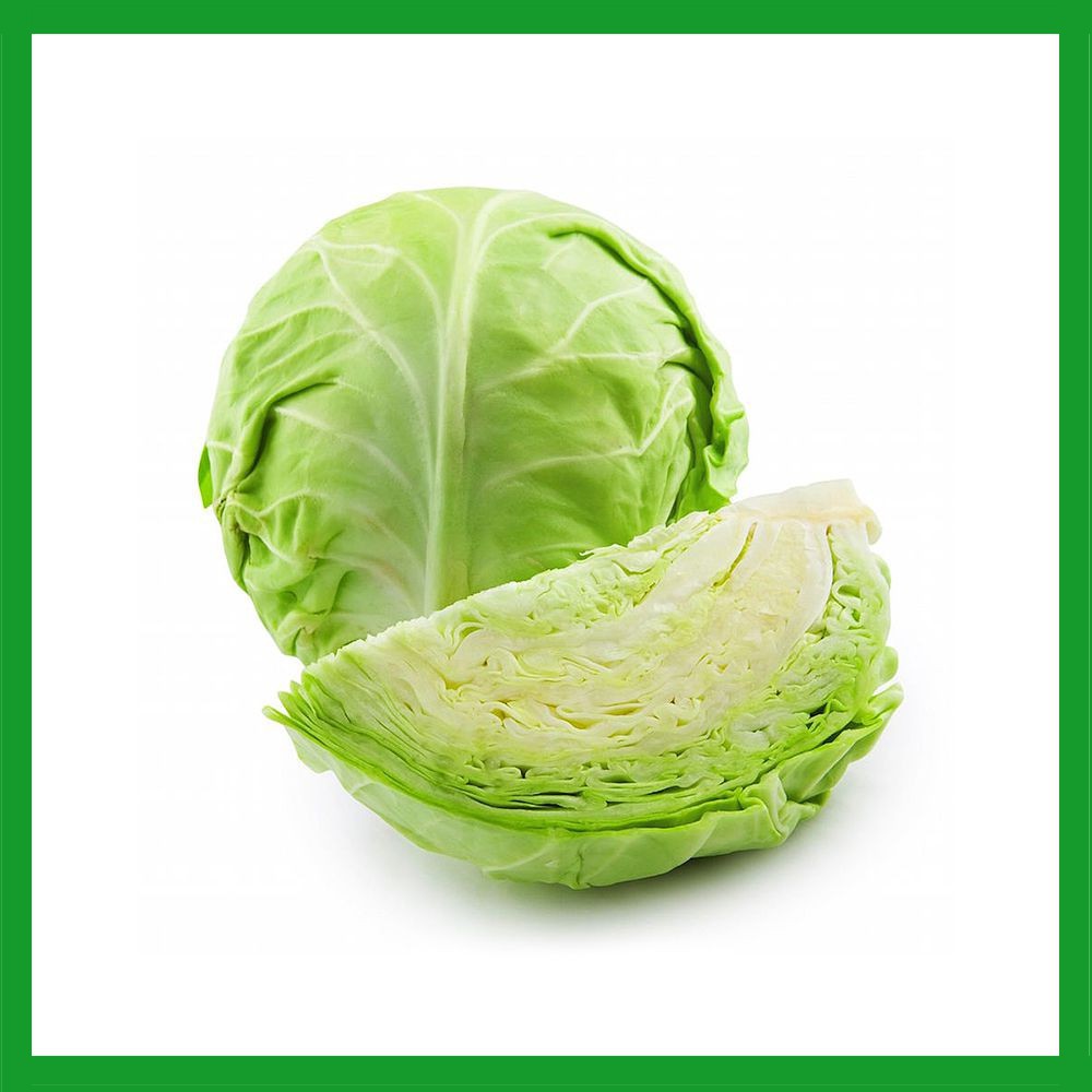 Hạt giống Cải Bắp Xanh