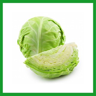 Hạt giống Cải Bắp Xanh
