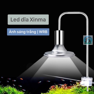Led dĩa Xinma ánh sáng trắng | WRB