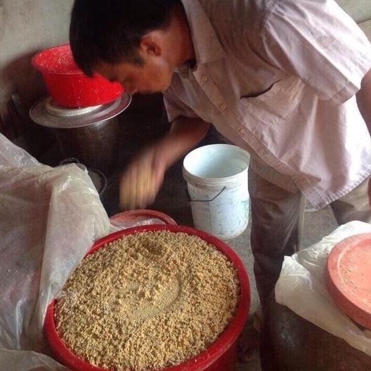 Men ủ vi sinh thảo dược, làm chín thức ăn chăn nuôi BIO-MEN