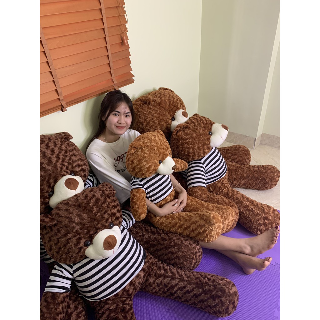 Gấu Bông Teddy 0,95m-1m1-1m3 Gấu Bông To, Gối Ôm Hình Thú Teddy Nâu Bự Khổng Lồ Siêu Đáng Yêu - GB04