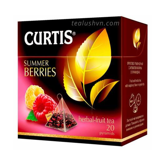 Trà Thảo Mộc Trái Cây Túi Lọc Hiệu Curtis Hương Táo, Mâm Xôi, Dâu Tây – Tea Curtis Summer Berries 20 gói