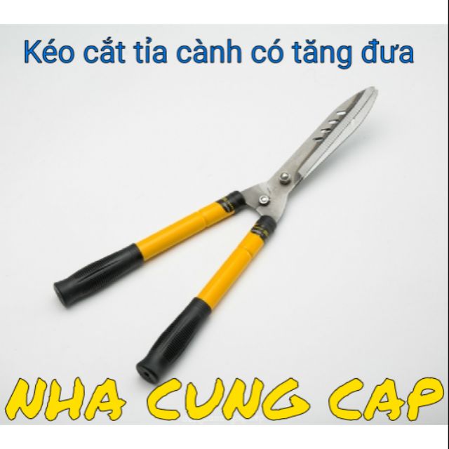 (GIÁ HỦY DIỆT) KÉO CẮT TỈA CÀNH CÓ TĂNG ĐƯA